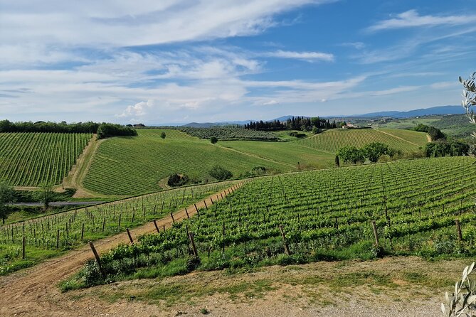 Private Wine Tour best of Chianti Tuscany 6 hours Limo Service - Price and What You Actually Pay For (Including the €70 Winery Fee)