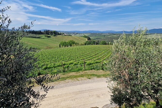 Private Wine Tour Top Wineries, Limousine Service, Florence Tours - Florence Pickup to Chianti Country: How the Timing Works