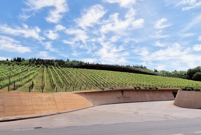 Private Wine Tour Top Wineries, Limousine Service, Florence Tours - Who This Private Chianti Tour Is Best For