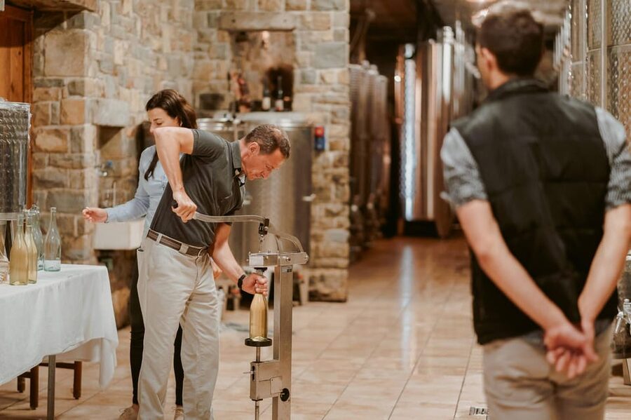 ROMANTIC WINE TOUR FOR 2 - Wine Tour in Chianti (Tuscany) - The Second Winery Stop: Process, Cellars, and That Last Pour