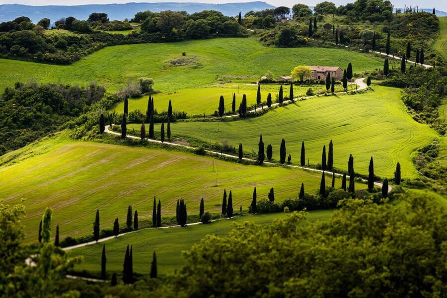 ROMANTIC WINE TOUR FOR 2 - Wine Tour in Chianti (Tuscany) - What Makes the Guides Matter (Andrew, Andrea, Florian, Andrei, and Marco)