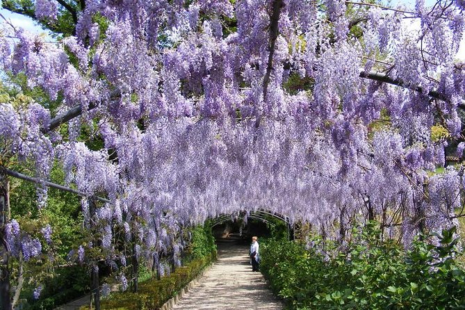 Royal Paths of Florence: Explore the Boboli Gardens - Radio system and guide style: what actually improves here