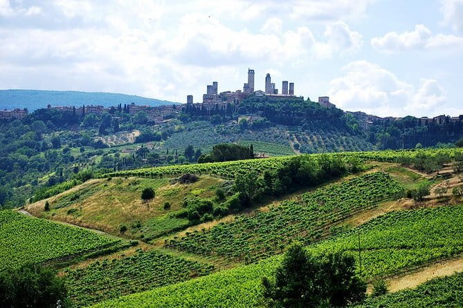 San Gimignano and Chianti Classico Wine and Food PRIVATE TOUR from Florence - Quick takeaways before you go