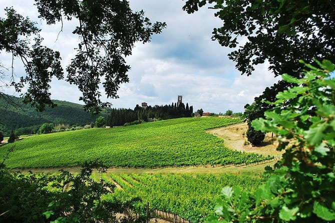 San Gimignano and Chianti Classico Wine and Food PRIVATE TOUR from Florence - Chianti Classico to San Gimignano, the private way