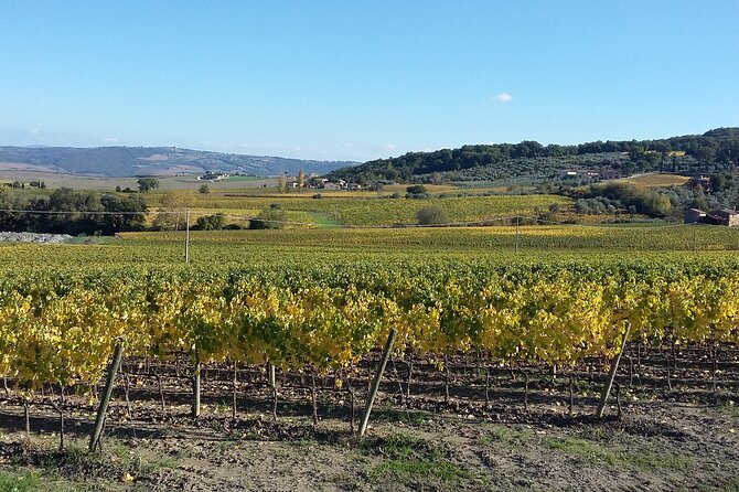 San Gimignano and Chianti tour - Budget Reality: Is $713.49 Per Group Good Value?