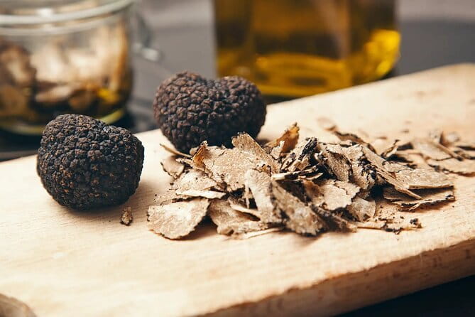 San Gimignano Wine Tasting With Truffle Tour - Two hours of truffle hunting in Tuscany countryside woods