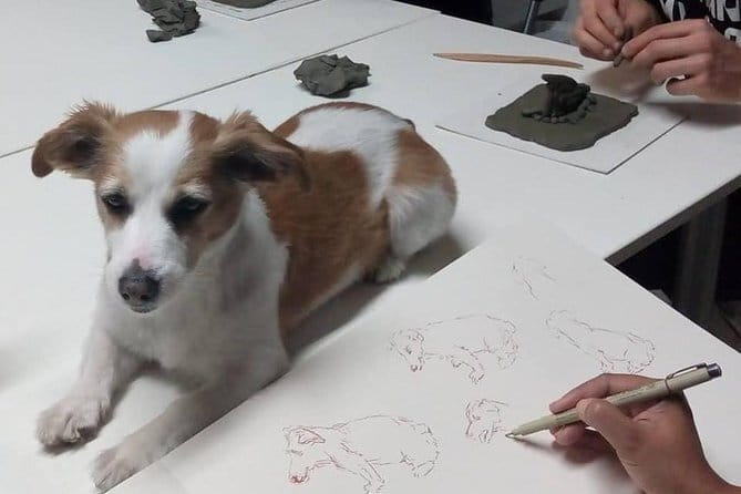Sculpt to Florentine Pet - Via Coluccio Salutati, The Start Point, and Timing That Works