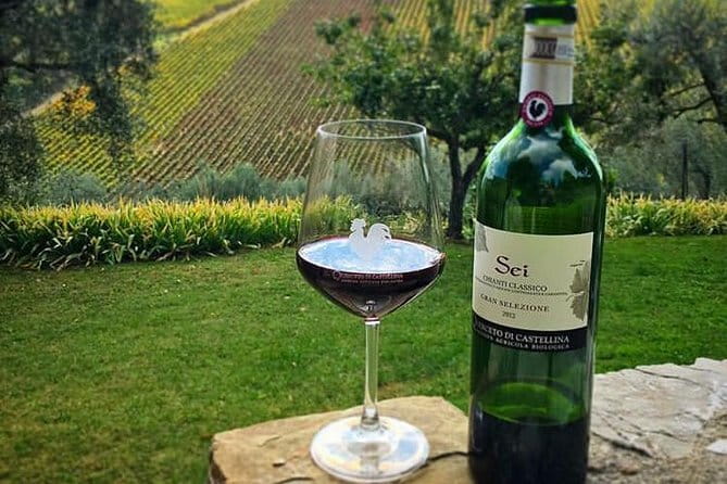 Siena and Chianti Wineries Excursion by Private Luxury Van from Florence - Quick hits you will feel on the road