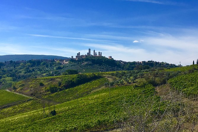 Siena and San Gimignano Tour from Florence - Price for up to 8 people, and what that really buys
