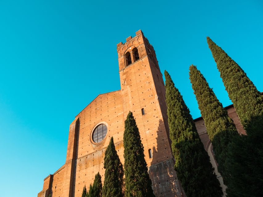 Siena Half-Day Tour from Florence - What a licensed driver-guide changes in your experience