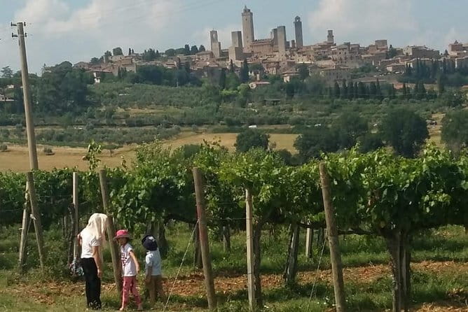 Siena Monteriggioni San Gimignano with Lunch&WineTasting Fullday from Florence - Price and Value: Is $921.92 Worth It?