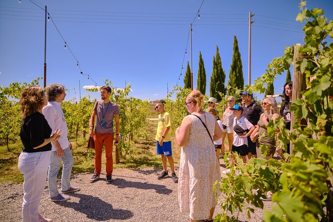Siena, San Gimignano and Chianti Wines Day Tour from Florence - Getting From Florence to Hill Towns: The Coach, WiFi, and Timing