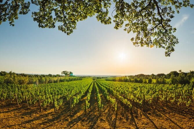 Siena & San Gimignano: Exclusive Tuscany Day Trip from Florence - The winery stop near San Gimignano: convent turned tasting room
