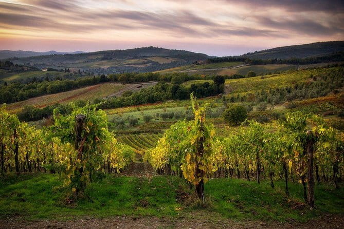 Sightseeing Tuscany by touring bike - 1 day rental - Why a One-Day Bike Escape From Florence Actually Works