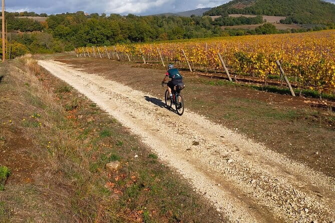 Sightseeing Tuscany by touring bike - 1 day rental - Where the Views and Breaks Fit Into the Day