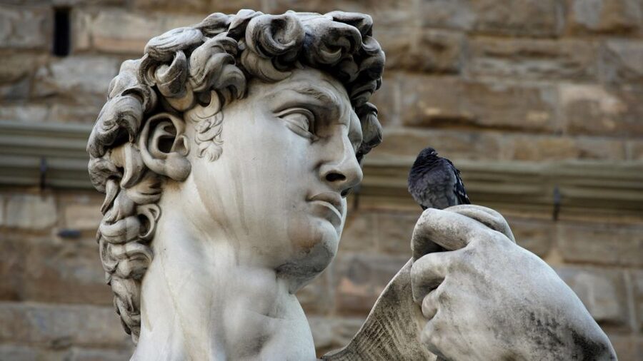 Skip the line: Accademia Gallery small group tour - Semi-private pacing, group size, and language options