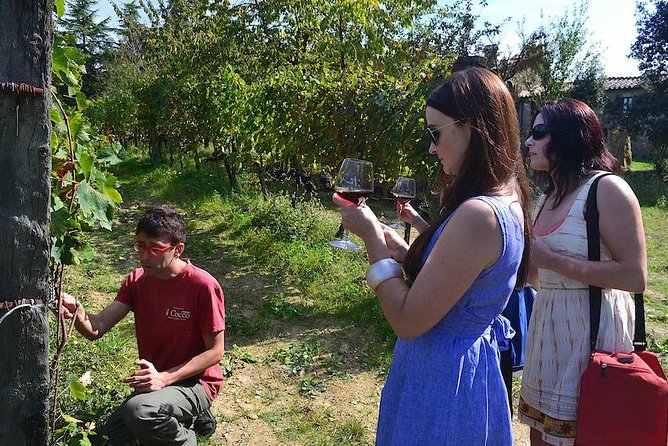 Small-Group Brunello Wine Tour of Montalcino from Florence - A Small-Group Brunello Day That Actually Feels Like a Day