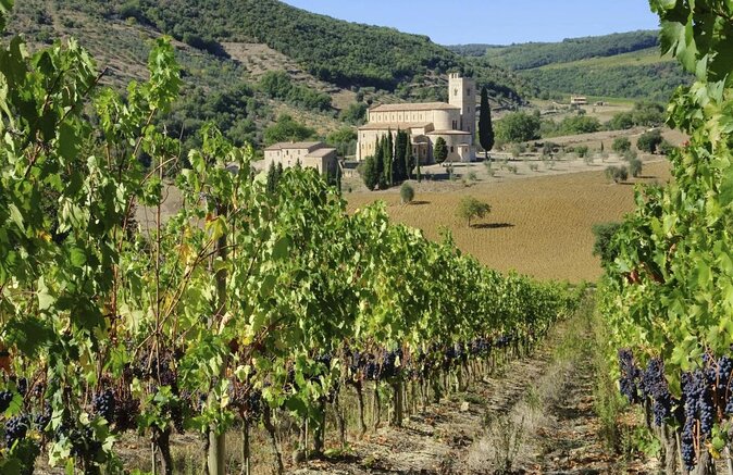 Small-Group Brunello Wine Tour of Montalcino from Florence - What You Learn Beyond Wine: Guides Who Teach You to Taste