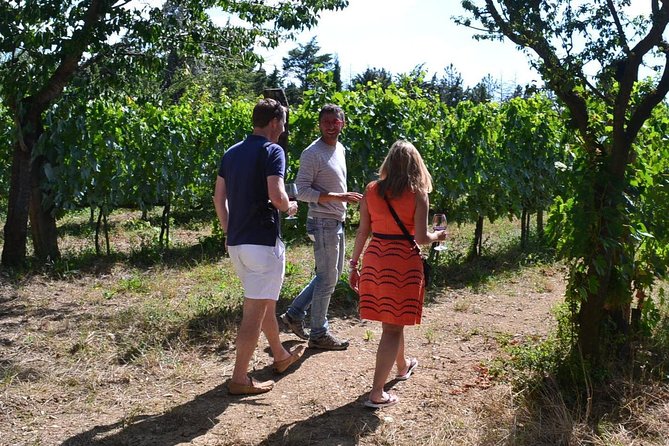 Small-Group Brunello Wine Tour of Montalcino from Florence - What Makes the Value Work, and Where It Can Feel Thin