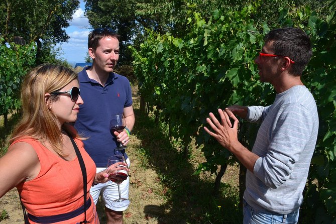 Small-Group Brunello Wine Tour of Montalcino from Florence - Getting the Most Out of the Day (Without Overthinking It)