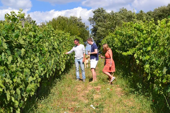 Small-Group Brunello Wine Tour of Montalcino from Florence - Who This Tour Fits Best