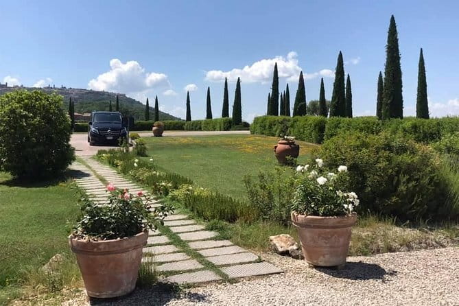 Small group Chianti-side wine tour with Mercedes V class Van - Key Things I’d Highlight Before You Go