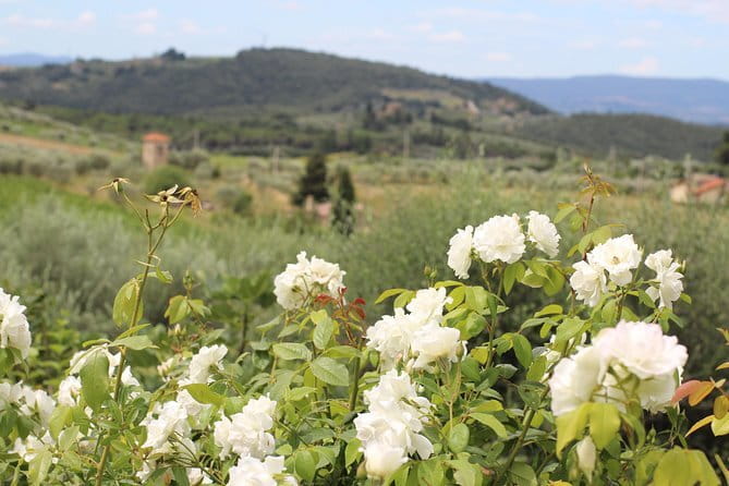 SMALL GROUP Chianti Tradition wine tour (max 8 pp) - Why This Chianti Classico Tour Feels More Personal