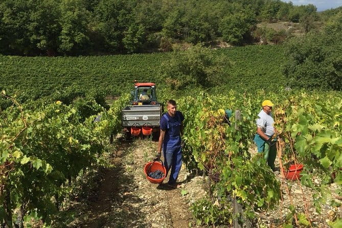 Small Group Chianti Wine Tasting with Seven Tuscan Wines - Meeting in Florence at 10:00, Without Hotel Pickup