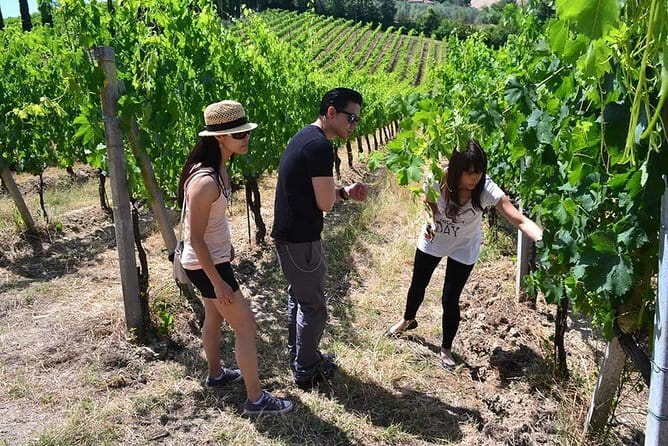 Small-Group Vernaccia di San Gimignano Wine Tour - White and Red Wines - First stop: San Michele a Torri and the Chianti you’ll recognize
