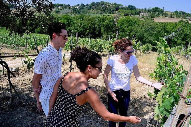 Small-Group Vernaccia di San Gimignano Wine Tour - White and Red Wines - Cappella SantAndrea: the Vernaccia di San Gimignano tasting finale