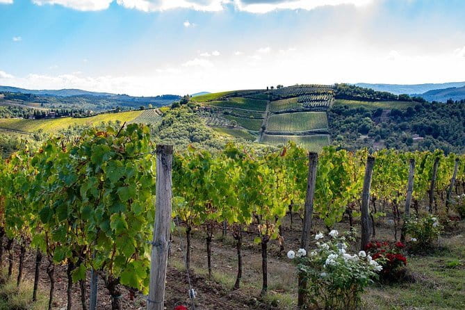SMALL-GROUP Wine Safaris: Tuscan Wine Tasting Tours from Florence - Key highlights you will actually care about
