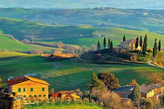 Small-Group Wine Tasting Experience in the Tuscan Countryside - Key highlights at a glance