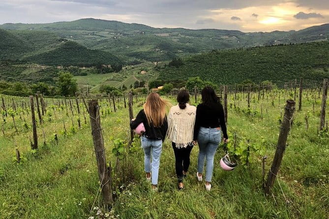 Small Group Wine Tasting in Tuscany with Vineyard Visit - A smart half-day plan: Chianti, without the headache