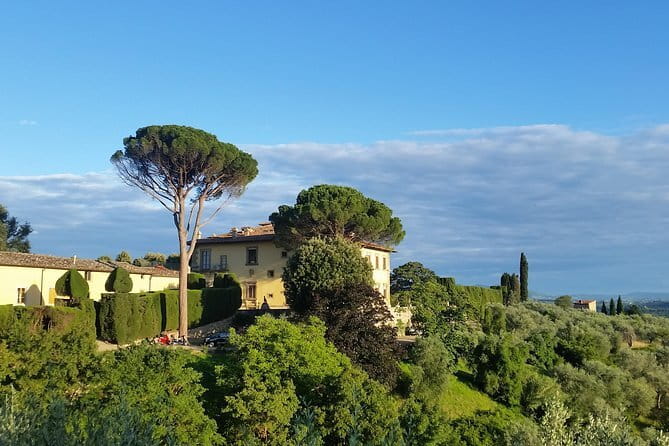 Small Group Wine Tasting in Tuscany with Vineyard Visit - Small group energy: guides, drivers, and the day’s pace