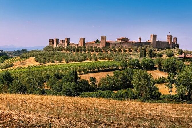 Special Chianti Afternoon Wine Tour from Florence - Wineries in the heart of Chianti: what the cellar visit actually teaches
