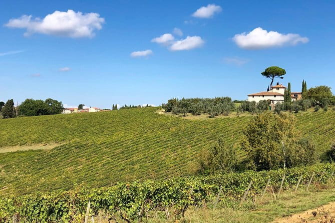 Sunset VIP Chianti wine tour - From Borgo la Croce to La Castellina: Squarcialupi and Ricudda at golden hour