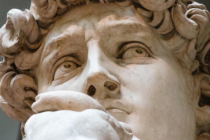 The Medici family and the Renaissance with a local art historian - Key highlights you should know before you go