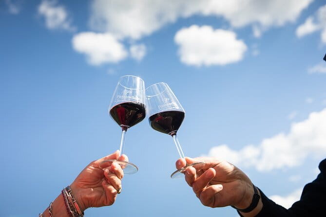 Triumph of Flavors, Winery Tour, Organic Wines in Panzano in Chianti - Key things you should know before you go