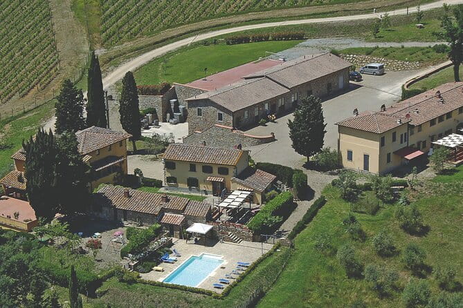 Triumph of Flavors, Winery Tour, Organic Wines in Panzano in Chianti - Organic Wines: What You’re Really Learning on This Tour