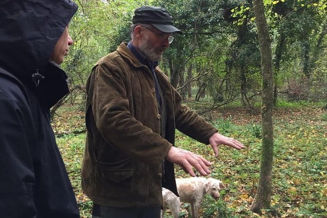 Truffle hunt, Lunch, Horse riding, a top half-day near Florence - Meeting the truffle hunter and dogs: the moment this becomes real