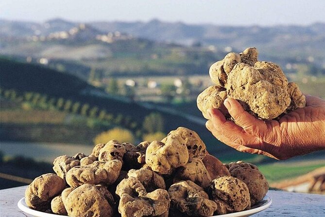 Truffle hunting and lunch experience, with Vinci and winery. - Timing, Pace, and Who This Tour Suits Best