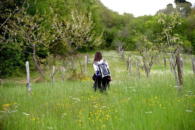 Truffle hunting + gourmet tasting (transfer included) - Transfer Back to Florence, With Time to Still Enjoy the City
