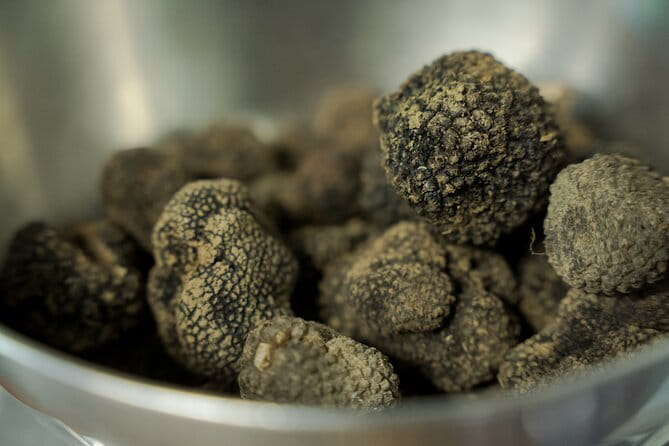 Truffle hunting + gourmet tasting (transfer included) - Who This Experience Suits Best in Florence