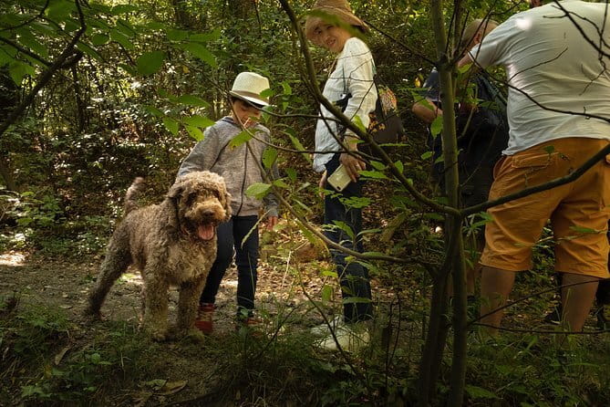 Truffle Picking Experience with 3 Course Meal in Chianti hills - Key highlights worth your time