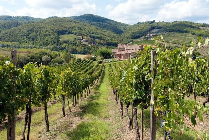 Tuscan countryside bike tour and food tasting - Getting the Giotto links into your day, not just onto a brochure