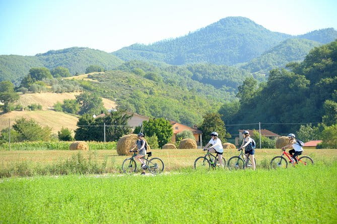 Tuscan countryside bike tour and food tasting - Piazza Giotto meeting point, bike setup, and how to start smoothly