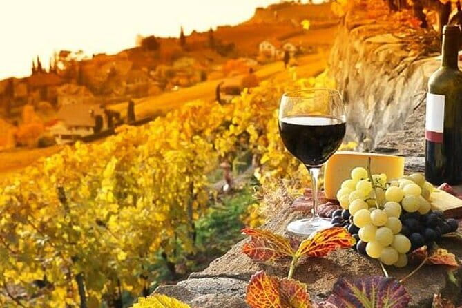 Tuscany Day Trip from Florence: Siena, San Gimignano, Pisa and Lunch at a Winery - How contrade stories change the way you see back streets