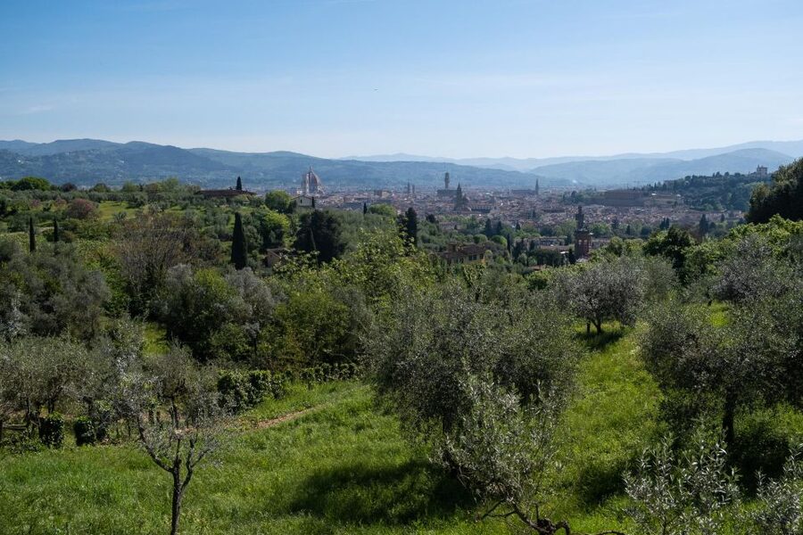 Tuscany Hills Bike Tour with Lunch at farm and Wine Tasting - Key moments you’ll care about