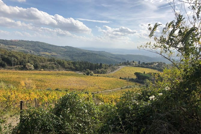 Tuscany off the beaten paths - Castellina in Chianti Winery: Family Visit and Food-Wine Pairing