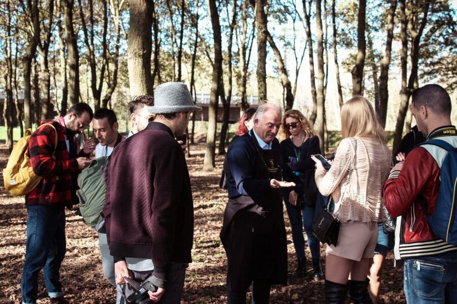 Tuscany: Truffle Hunting and Meal at a Winery - White vs Black Truffles, Explained for Real People